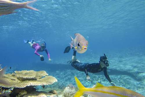 cocos keeling island photo tour example 16